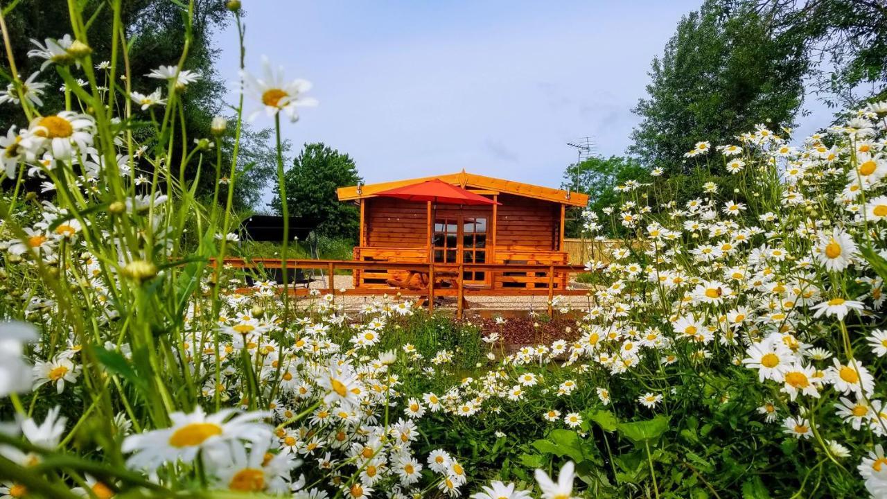 East Pool Cabin Lincoln Ngoại thất bức ảnh
